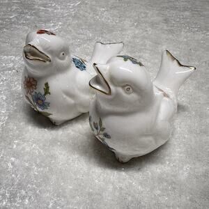 HAND PAINTED BIRD SALT PEPPER SHAKER SET (E25) Bone China